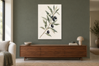 Olive Study