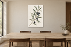 Olive Study