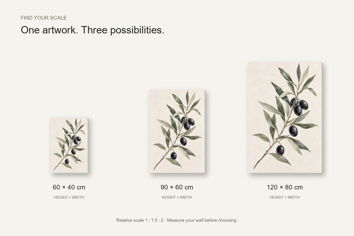 Olive Study