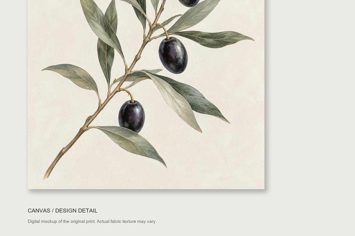 Olive Study