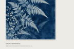 Fern Shadow