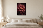 Dahlia Afterglow