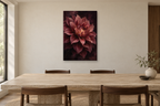 Dahlia Afterglow