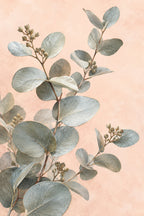 Silver Eucalyptus — original canvas artwork
