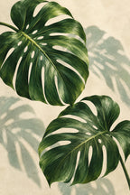 Monstera Morning — original canvas artwork