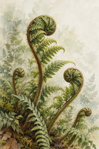 Wild Fern — original canvas artwork