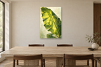 Banana Shade in a dining room — interior mockup with the complete original artwork