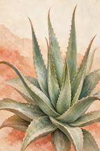Desert Aloe — original canvas artwork