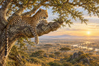 Leopard In Acacia — original horizontal canvas artwork