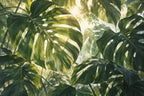 Monstera Canopy — original horizontal canvas artwork