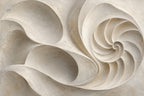 Shell Geometry — original horizontal canvas artwork
